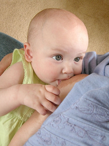 Questions, Comments, Concerns about Breastfeeding – from family and friends.